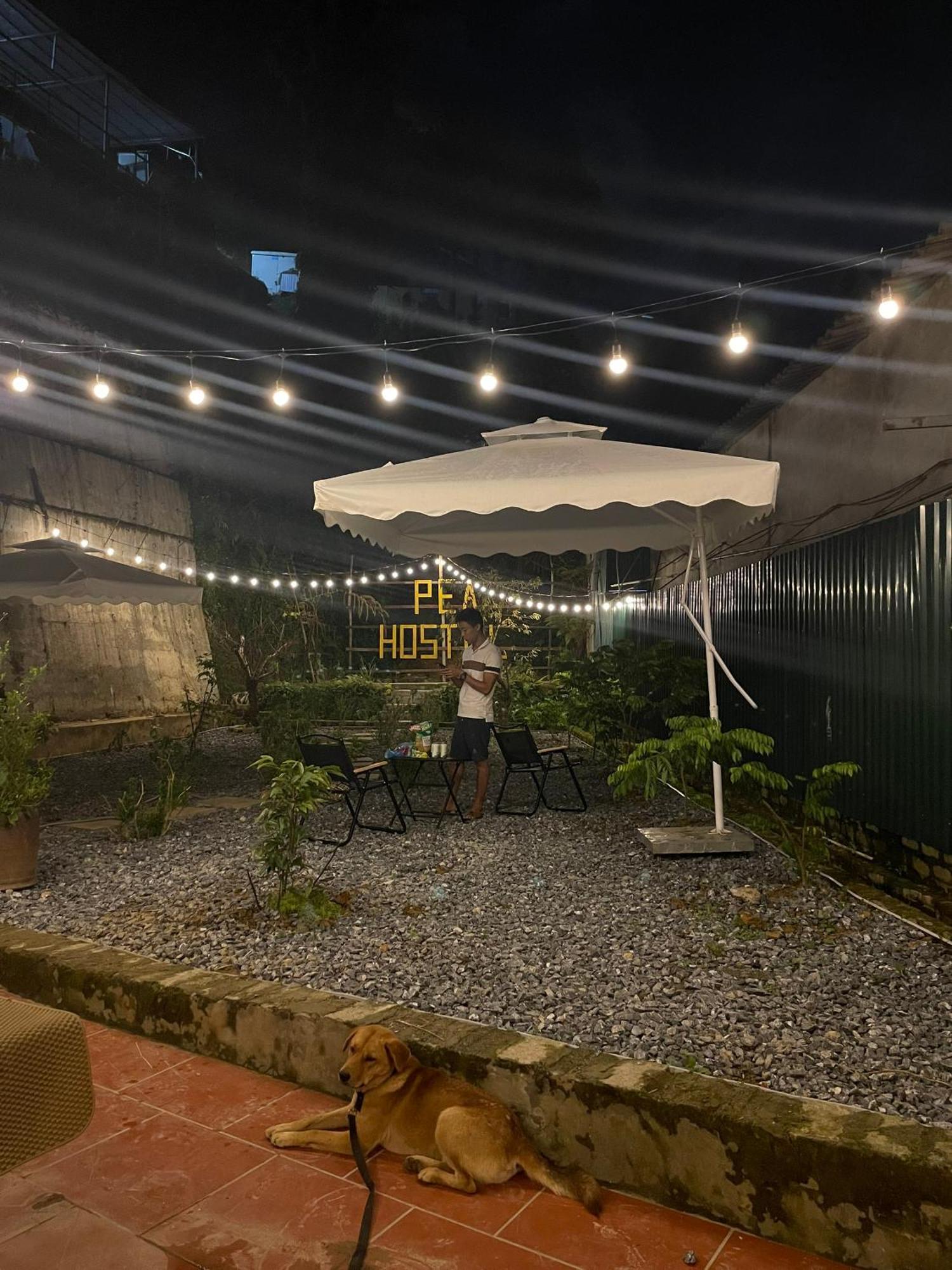 Pea Hostel Sa Pa Zewnętrze zdjęcie